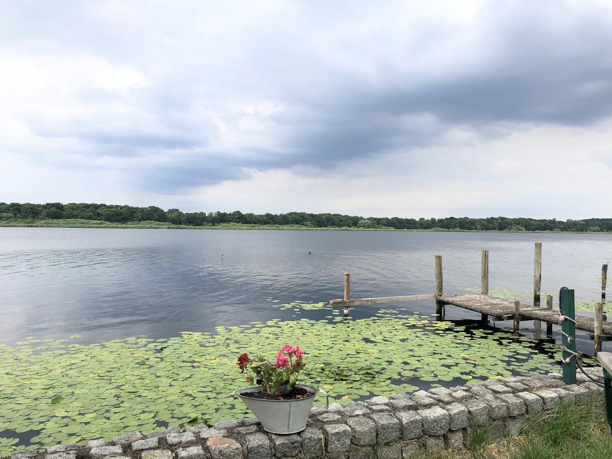 Ferienwohnung Auf Der Insel Werder  Eksteriør bilde